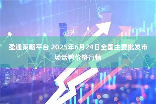 盈通策略平台 2025年6月24日全国主要批发市场活鸭价格行情