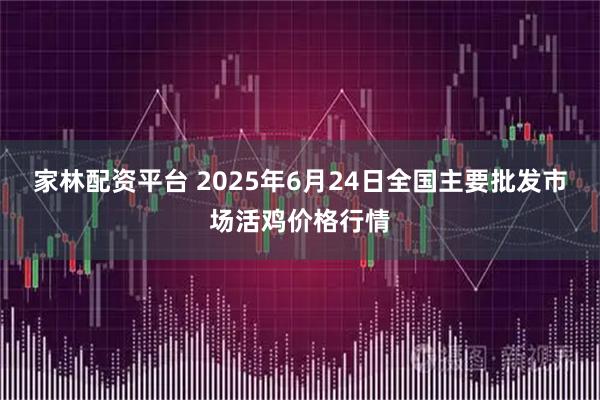 家林配资平台 2025年6月24日全国主要批发市场活鸡价格行情